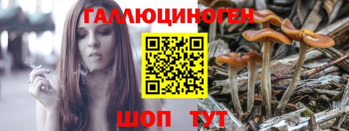 Галлюциногенные грибы GOLDEN TEACHER  Псилоцибиновые грибы ЛСД  Вход с VPN  Сокол 